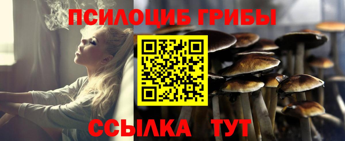 Псилоцибиновые грибы Cubensis  Псилоцибиновые грибы Psilocybine cubensis  Унеча  Вход с VPN 
